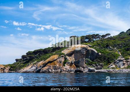 Vue sur la côte rocheuse de l'île de Giglio avec végétation méditerranéenne, Grosseto, Toscane, Italie. Banque D'Images