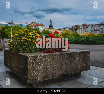 Fleurs sur la place principale d'Ostrava Banque D'Images