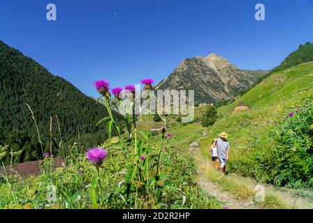 granjas de biadós, Valle de Añes Cruces, parque Natural Posets-Maladeta, Huesca, cordillera de los Pirineos, Espagne Banque D'Images