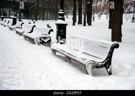 Vider les bancs en bois sous la neige. Alexander jardin, Moscou Banque D'Images