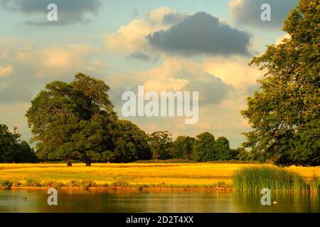 Coucher de soleil sur le lac et les champs de Langley Park Banque D'Images