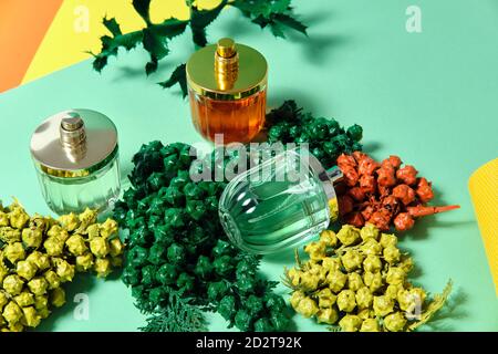 Vue de dessus des bouteilles de verre brillantes de parfum de luxe fait à la main disposés sur une table avec des branches de thuja Banque D'Images