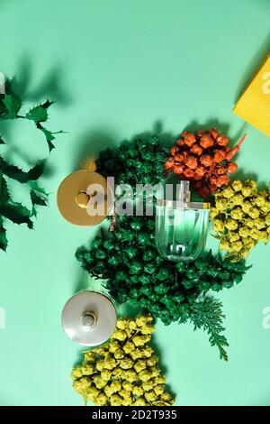 Vue de dessus des bouteilles de verre brillantes de parfum de luxe fait à la main disposés sur une table avec des branches de thuja Banque D'Images