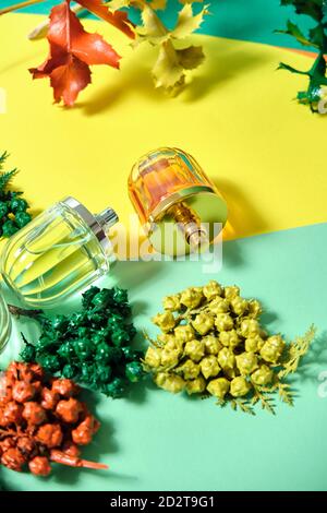 Vue de dessus des bouteilles de verre brillantes de parfum de luxe fait à la main disposés sur une table avec des branches de thuja Banque D'Images