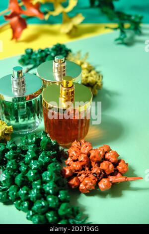 De dessus de bouteilles de verre brillantes de parfum de luxe fait à la main disposés sur une table avec des branches de thuja Banque D'Images