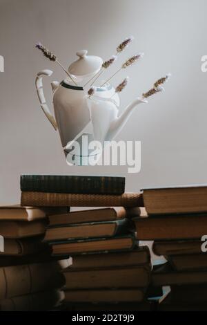 Pot de porcelaine blanche en morceaux avec fleurs sauvages lévitant sur une pile de livres anciens Banque D'Images