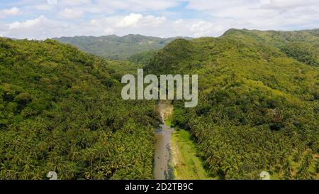 Paysage de montagne avec forêt tropicale, vue aérienne. Collines couvertes de jungle. Concept de vacances d'été et de voyage. Une rivière dans les montagnes sur l'île de Leyte, Philippines. Banque D'Images