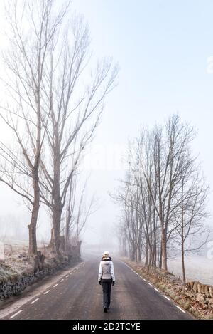 Vue arrière de randonneur anonyme en vêtements chauds marchant sur une route d'asphalte vide parmi les arbres sans feuilles en journée froide et brumeuse dans la campagne à Bellver de Cerdaña , Catalunya Banque D'Images