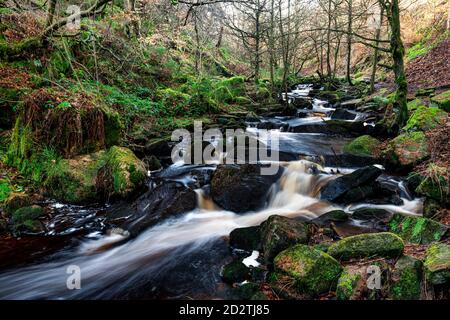 Réserve naturelle de Wyming Brook, Peak district.Sheffield, Angleterre, Royaume-Uni Banque D'Images