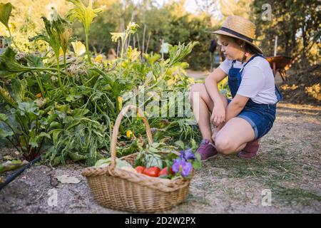 Panier en osier rempli de divers légumes mûrs et de fleurs parfumées placé dans le jardin sur un fond flou de fille dans la paille chapeau Banque D'Images