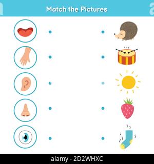 Jeu de cinq sens assorti pour les enfants. Vue, toucher, audition, odeur et goût Illustration de Vecteur