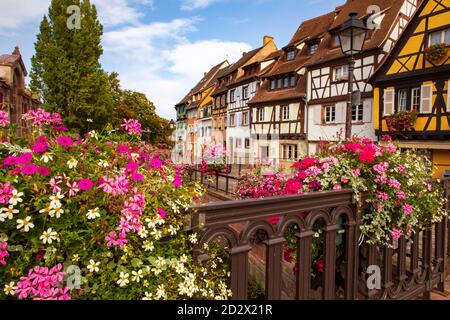 Vue sur la ville de Colmar avec maisons traditionnelles à colombages au bord du canal, fleurs sur le pont. Été , Alsace France. Banque D'Images