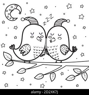 Page de coloriage de nuit des oiseaux de sommeil mignons. Lune et étoiles fond noir et blanc Illustration de Vecteur