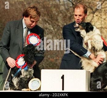 Le gagnant du concours du chien de l'année de Westminster, a Border Collie Cross (à droite), lutte dans les bras du propriétaire Phillip Oppenheim (con, Amber Valley), alors qu'il tente d'aller à la 3e place Humphrey, un Blue Roan Cocker Spaniel, propriété de John Whittingdale (con, South Colchester et Maldon), À Londres aujourd'hui (Weds). Le concours, organisé par la Ligue nationale de défense canine et Wuffitmix Complete Dog Foods, a été mis en place pour promouvoir la propriété responsable des chiens dans toute la Grande-Bretagne. Photo de Fiona Hanson. Banque D'Images