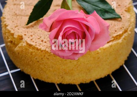 Gâteau éponge cuit sur fond noir. La fleur repose sur un biscuit Banque D'Images