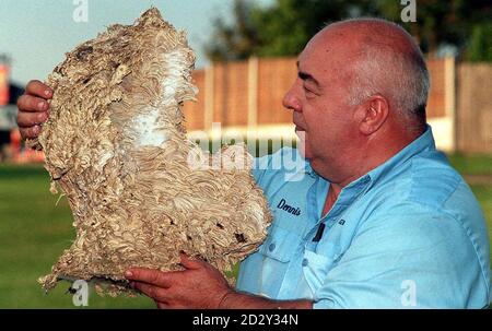 Dennis Taylor, qui dirige Ace Pest Control Services à Shropshire, tient une petite partie du nid des guêpes qui a été repéré dans une maison à Lawley Gate, Horsehay aujourd'hui (mercredi). Le nid mesure environ 4ft 8in de haut et 4ft 6in de large et les experts croient qu'il pourrait être le plus grand nid de guêpes dans le pays. Photo de Shropshire Star. Voir PA Story SOCIAL Wasps Banque D'Images