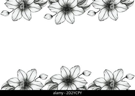 cadre floral noir vintage avec fleurs de clematis dessinées à la main, motif floral à encre noire pour les invitations de mariage, les fêtes de la mère ou les célébrations Banque D'Images