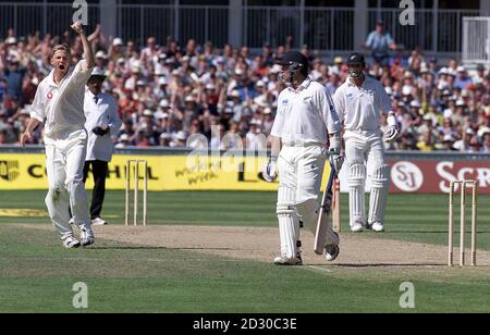 Alan Mullally (à gauche) célèbre le licenciement de Craig McMillan (2e R) de Nouvelle-Zélande, sorti lbw pour 26 courses, au cours de la troisième journée de leur quatrième match de test de cricket à l'Oval, à Londres. Banque D'Images