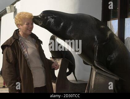 PAM St Clement, qui joue Pat Evans dans les Eastenders de la BBC, vient en face-à-face avec Berkeley, un Sealion californien, alors qu'elle lance la deuxième série télévisée de Whipsnade d'ITV au Wild Animal Park. Banque D'Images