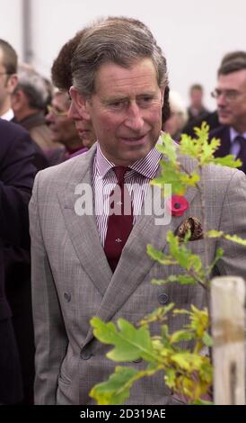 Le prince de Galles étudie un arbre après l'avoir planté lors de sa visite au centre agricole et artisanal de Botanicus, à Ostra, dans le nord-est de Prague, au cours de la deuxième journée de sa visite en République tchèque. *... Le Prince est arrivé en République tchèque pour commencer une visite de 5 jours dans les pays d'Europe de l'est qui comprendront la Slovaquie et la Suisse. * 17/01/01 le Prince de Galles qui mercredi 17 janvier 2001 appelle à des bordures de trottoir sur l'utilisation de bateaux de pêche surpuissants, qu'il avertit qu'il détruit l'écosystème marin du monde, des stocks de poissons dévastateurs et du chômage chez les petites cocaïs Banque D'Images