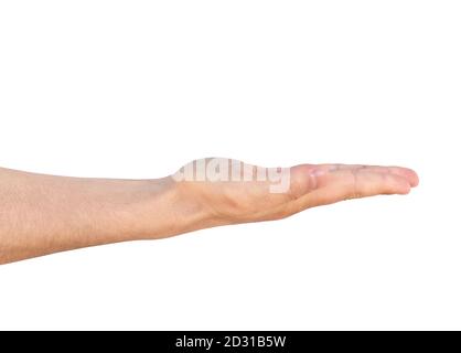 Panneau main homme vide isolé sur fond blanc. Main homme tenue isolée sur blanc. Banque D'Images