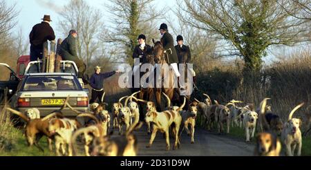 Le duc de Beaufort's Hounds comme la chasse au renard à proximité de Tetbury, Gloucestershire. Une tentative du gouvernement de faire adopter le projet de loi controversé sur la chasse peut entraîner un conflit entre le Parlement et les tribunaux, a averti Lord Donaldson de Lymington. * UN ancien maître des Rolls a révélé que lui et les juges principaux craignaient une réaction de la part des partisans de la chasse au renard si le gouvernement tente d'utiliser les lois du Parlement pour forcer une interdiction de chasse à la loi. Lord Donaldson croit qu'il a peut-être une vague de soutien pour son projet de loi, mais admet que ses tentatives de découvrir le point de vue du gouvernement sur l'i Banque D'Images