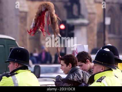 Un policier surveille les manifestants anti-chasse devant la Chambre des communes de Londres, avec des bannières et un renard faux. Partout au pays, des manifestations en faveur de la chasse étaient également en cours alors que des centaines de personnes se sont jointes aux réunions au mépris du projet de loi sur la chasse. *... Les partisans de ce sport controversé ont assisté à des rassemblements au Suffolk, au pays de Galles et en Cornouailles avant de partir sur les renards. Banque D'Images