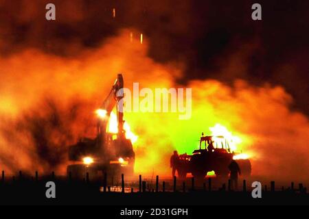 Un feu a été allumé dans la fosse brûlante de la ferme de Netherplace, dans le centre de Lockerbie, en Écosse. La ferme, la première en Écosse à être touchée par l'épidémie de fièvre aphteuse, a brûlé son bétail et ses moutons. Banque D'Images