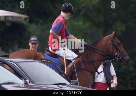 Le prince Harry (monté) discute avec son frère aîné le prince William (à gauche). Le prince Harry, le plus jeune fils du prince de Galles lors d'une pause dans un match de polo au Cirencester Park Polo Club, Cirencester, Gloucestershire. * le prince Harry et son père le prince Charles a joué dans un côté de Highgrove qui a perdu à Cirencester 6:3 dans un match de quatre chukka. Banque D'Images