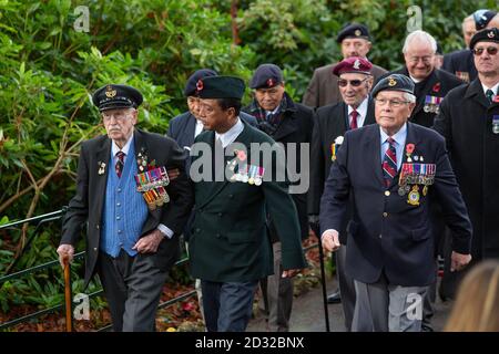 Les anciens combattants portant leurs casquettes, bérets et médailles traversent les jardins de Bournemouth après le service du dimanche du souvenir de la ville au Monument commémoratif de guerre. 09 novembre 2014. Photo: Neil Turner Banque D'Images