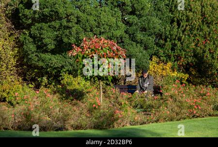 Un homme est assis seul à porter son béret et ses médailles avec ses pensées avant le service du dimanche du souvenir de la ville au War Memorial dans les jardins de Bournemouth. 09 novembre 2014. Photo: Neil Turner Banque D'Images