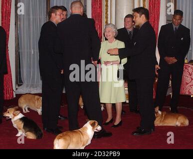 La reine Elizabeth II rencontre l'équipe de rugby All Blacks de Nouvelle-Zélande à Buckingham Palace, Londres, entourée de corgis royaux.24/12/03: La Reine pleure la mort d'un de ses corgis, tué plus tôt cette semaine par un Bull-terrier anglais appartenant à la princesse Anne.Selon les journaux, Pharos a été attaqué par Dotty lundi à l'arrivée de la princesse à Sandringham où la famille royale passe Noël, et bien qu'il ait été suivi par des vétérinaires et gardé en soins intensifs pendant la nuit, il a dû être mis hors service.La Reine possède à la fois des corgis et des « Borgis » (corgis croisé avec un dachshund). Banque D'Images