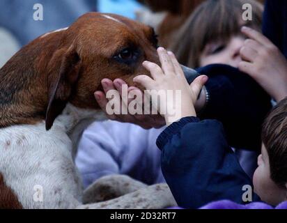 Les jeunes animaux de compagnie les huards de la chasse de York et d'Ainsty à la place du marché d'Easingwold dans le North Yorkshire. On estime que 250,000 personnes se rassemblaient dans tout le pays pour ce qui pourrait être les dernières réunions traditionnelles de chasse le lendemain de Noël dans leur forme actuelle. * UN nouveau projet de loi sur la chasse, lancé par le gouvernement plus tôt ce mois-ci, changera pour toujours la nature de la chasse avec des hossettes. Banque D'Images