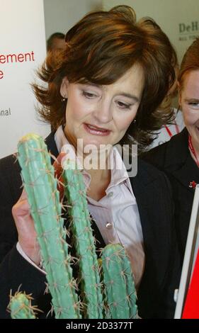 Cherie Blair, épouse du Premier ministre Tony Blair, visite les stands de l'exposition à la Conférence du Parti travailliste à Bournemouth. M. Blair et ses collègues leaders travaillistes sont confrontés à des troubles syndicaux sur l'Irak, aux frais des universités et aux hôpitaux de fondation lors du rassemblement de Bournemouth, et le chancelier Gordon Brown a pris des risques de colère supplémentaires aujourd'hui en signalant la fin des négociations salariales nationales. Banque D'Images