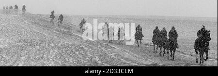 Pris dans le blizzard, les cavaliers et les chevaux se rendent des galops sur la lande haute à Middleham, dans le North Yorkshire, alors que la neige continue de tomber sur les pennines. Les prévisionnistes ont prédit qu'il y aurait d'autres chutes, se déplaçant vers le sud pendant la journée. Banque D'Images