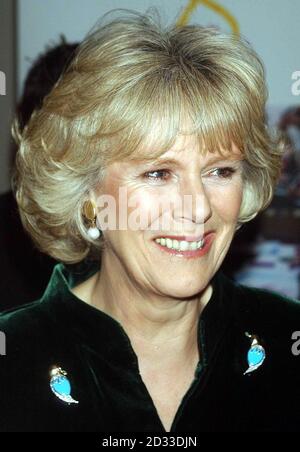 Camilla Parker Bowles qui a rejoint le Prince de Galles, lors d'un de ses engagements officiels pour la première fois en plusieurs mois. Porter un manteau-robe en velours émeraude avec doublure et poignets en soie turquoise sari. Mme Parker Bowles a été traitée à une extravagance élisabéthaine lorsqu'elle est arrivée avec Charles au Peacock Theatre de Londres. Banque D'Images