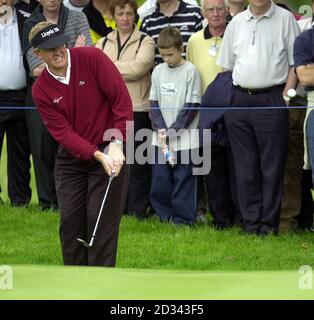 Colin Montgomerie, en Écosse, manque sa puce pour un aigle sur le sixième green de l'Open d'Europe de Smurfit, au K Club, Co Kildare, en Irlande. Banque D'Images