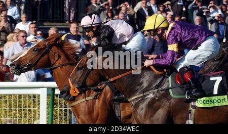 Geojimali (à gauche), monté par le jockey Saleem Golam, remporte la coupe Ayr Sliver totesport.com à l'hippodrome d'Ayr. Banque D'Images