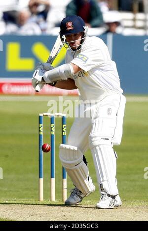 Mark Pettini d'Essex en action pendant le match de Liverpool Victoria County Championship au County Ground, Chelmsford. Banque D'Images