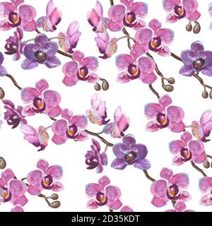 Aquarelle des branches d'orchidées peintes à la main motif sans couture sur fond blanc Banque D'Images
