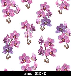 Aquarelle des branches d'orchidées peintes à la main motif sans couture sur fond blanc Banque D'Images