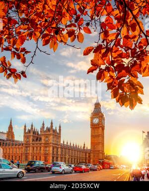 Big Ben contre un coucher de soleil coloré avec des feuilles d'automne à Londres, Angleterre Banque D'Images