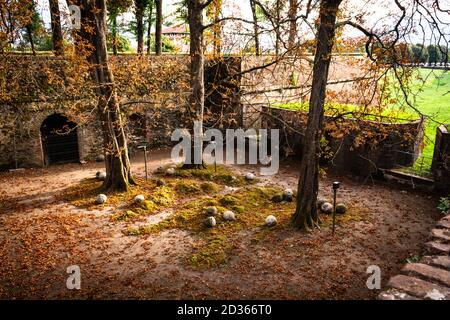 Découvrez les arbres d'automne au sommet des bastions de la ville fortifiée depuis le haut, Lucques, Toscane, Italie, Europe Banque D'Images