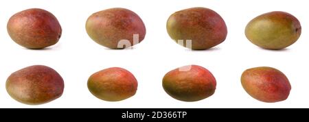 Mango isolé sur fond blanc. Fruits frais, non pelés, entiers, de couleur rouge-vert. Un ensemble de photos différentes de différents angles de prise de vue et lig Banque D'Images