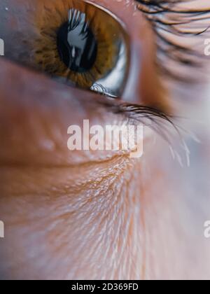 Photo macro d'un bel œil humain Banque D'Images