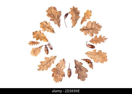 Couronne ou cercle fait à partir de feuilles séchées d'automne, de feuilles de chêne et d'acornes isolés sur fond blanc, sur fond plat, vue de dessus, espace de copie. Conc. Automne Banque D'Images