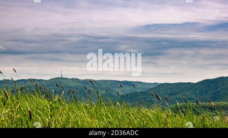 Le vent souffle de l'herbe haute au premier plan et dans Le fond est le paysage panoramique de montagne avec la tour de télévision (Buková hora) sur le Banque D'Images