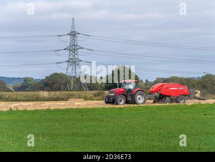 Angleterre, Yorkshire, Beilby, 20/09/2020 - tracteur Red case pour la mise en balles de foin avec une presse à balles Massey Ferguson dans un champ à côté des lignes électriques Banque D'Images