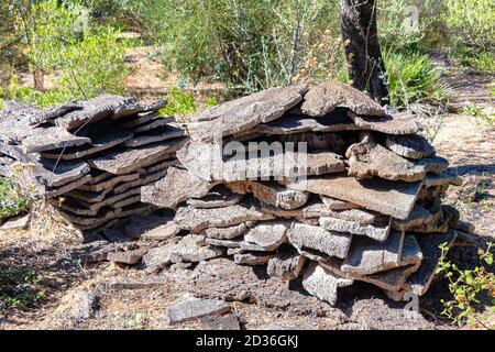 Pile de liège brut récemment arraché du séchage de l'arbre le soleil Banque D'Images