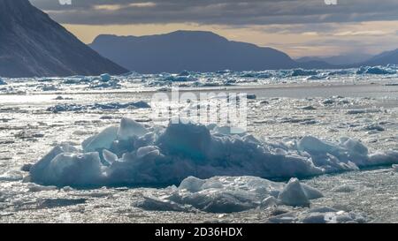 Icebergs flottant dans la mer du Labrador, fjord de Nuuk, Sermersoq, Groenland Banque D'Images